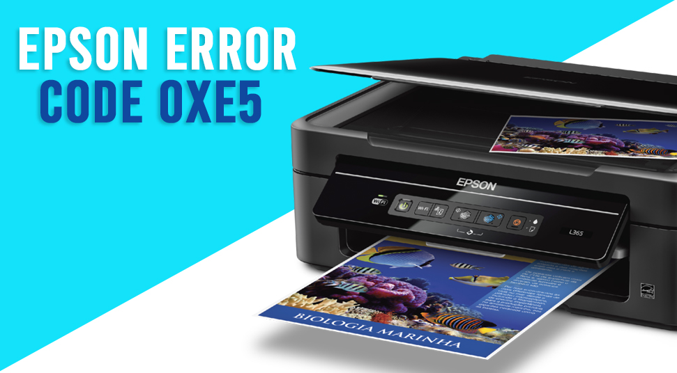 How-To-Solve-Epson-Error-Code-0xe5-Step